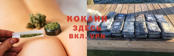 дживик Зеленокумск