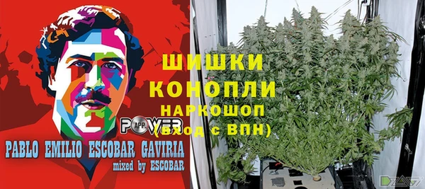 дживик Зеленокумск