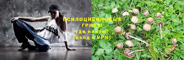 дживик Зеленокумск