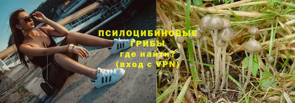 хмурый Зерноград